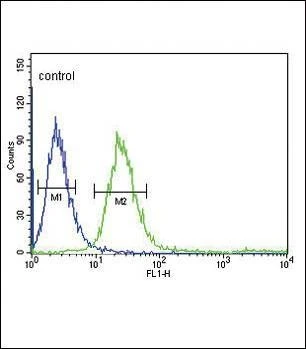 Anti-FCGR1B (C-term) Antibody