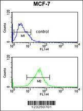Anti-SNRPD3 (C-term) Antibody