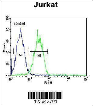 Anti-ARGLU1 (N-term) Antibody