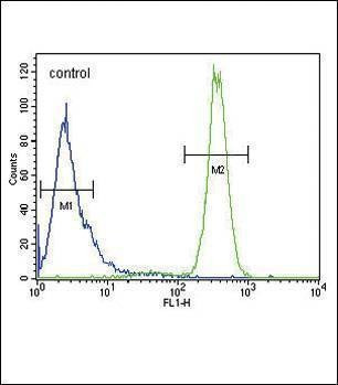 Anti-p19 (N-term) Antibody
