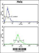 Anti-ACP1 (N-term) Antibody