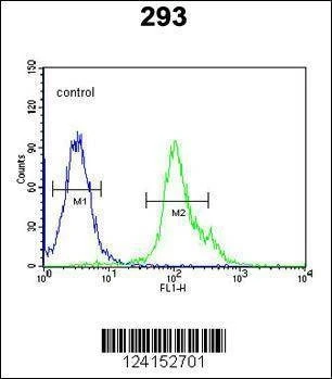 Anti-NXPH1 (N-term) Antibody