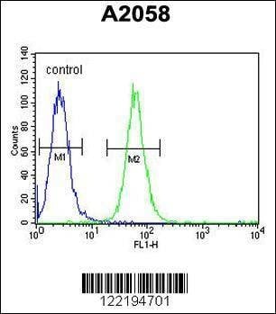 Anti-ABHEB (C-term) Antibody