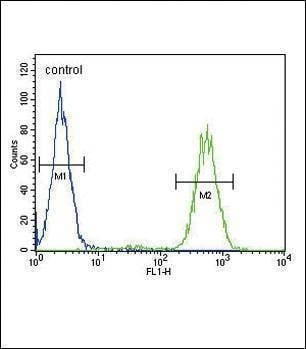 Anti-SLC25A37 (C-term) Antibody