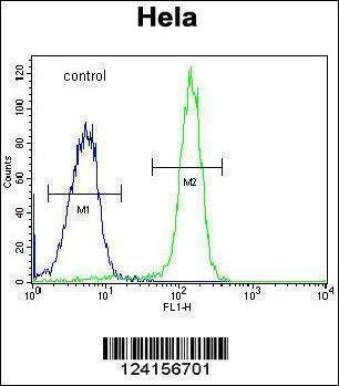 Anti-FAM40A (Center) Antibody