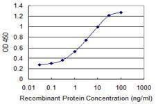 Anti-LYST Antibody