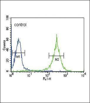 Anti-PLA2G7 (Center) Antibody