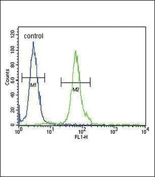 Anti-DFFB (N-term) Antibody