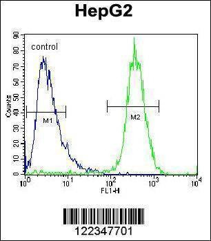 Anti-TYROBP (C-term) Antibody