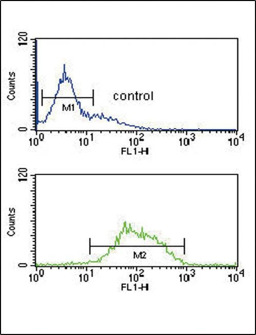 Anti-LCAT (Center) Antibody