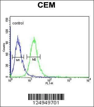 Anti-ZN160 (N-term) Antibody