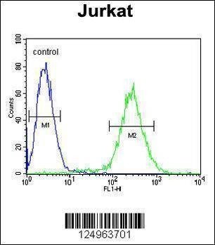 Anti-NOL9 (C-term) Antibody