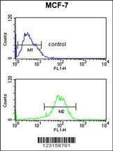 Anti-NR1H3 (Center) Antibody