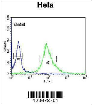 Anti-DDX49 (C-term) Antibody