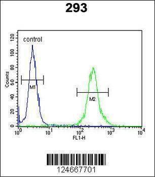 Anti-MRAP (N-term) Antibody