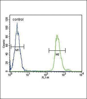 Anti-SMAD3-S208 Antibody