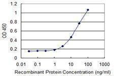 Anti-MAPRE3 Antibody