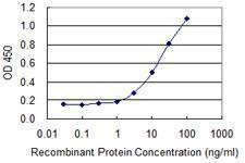 Anti-MED4 Antibody