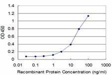 Anti-MFAP4 Antibody