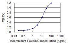 Anti-MKRN1 Antibody