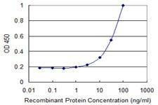 Anti-MMRN1 Antibody