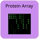 Insulin Epitope Mapping Peptide Array