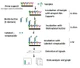 Human Glycosylation Array 493