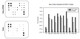 Human/Mouse MAPK Phosphorylation Array
