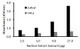 Human NF-YA Activity Assay Kit