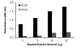 Human NF-κB RelB Activity Assay Kit