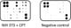 Mouse Apoptosis Signaling Pathway Array C1
