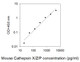 Mouse Cathepsin X/Z/P ELISA kit Standard Curve