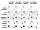 RayBiotech’s Human Phosphorylation Pathway Profiling Array identified oncogenic pathway alterations in glioblastoma cells overexpressing sst5TMD4. Figure adapted from Fuentes-Fayos et al., Int. J. Mol. Sci., 2022.