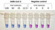 COVID-19 Rapid Isothermal PCR Kit