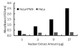 Human ELK-1 Activity Assay Kit