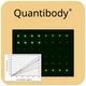 Rabbit Cytokine Array Q30