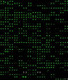 Rat Proteome Profiling Array L2 (500-Plex, Glass Slide)
