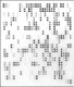 Rabbit Proteome Profiling Array L1 (500-Plex, Membrane)