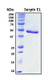 Recombinant Mouse SERPINE1 Protein, Biotinylated