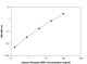 Phospho-ERK1 (T202/Y204) and ERK2 (T185/Y187) Quantitative ELISA Kit