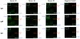 Monkeypox Virus Protein Array G1