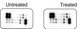 Mouse NF-κB Pathway Phosphorylation Array C1