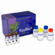 DNA Bisulfite Conversion Kit (Magnetic Bead Method)
