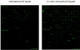 Human Protein Nitration Antibody Array G1