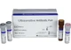 Human IL-13 Ultrasensitive Antibody Pair