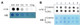 m1A (N1-methyladenosine) Dot Blot Assay Kit