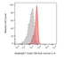 Mouse IgG2a Kappa Isotype Control Antibody, RayBright® Red 700