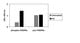 Phospho-PDGFRa (Tyr762) ELISA Kit