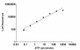 ATP Quantification Assay