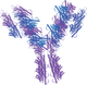 Anti-Flag Antibody